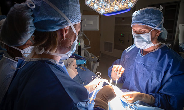surgeon performing operation